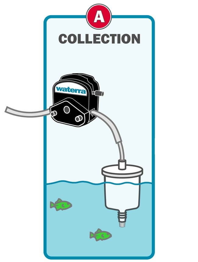 Waterra eDNA Filter - Sample Collection