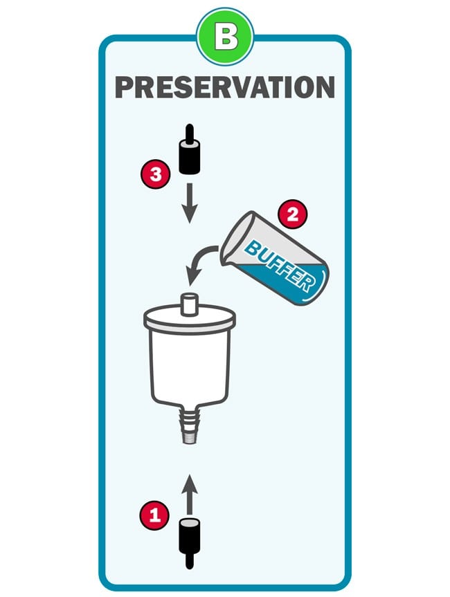 Waterra eDNA Filter - eDNA Preservation